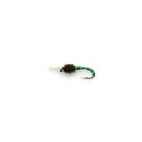 Buzzer green