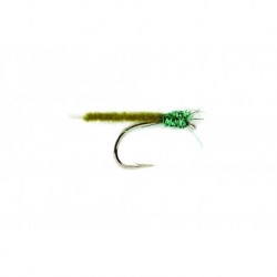 Buzzer Supreme Olive