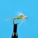 BWO Nymph