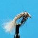 Caddis Larva Grey