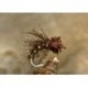 CaddisNymph