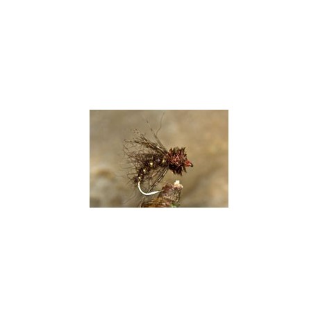 CaddisNymph