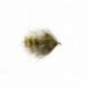 Cali Leech (BH)
