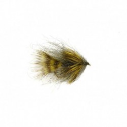 Cali Leech
