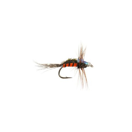 Carrot Nymph