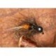 CarrotNymph