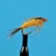 Catskill Canadensis