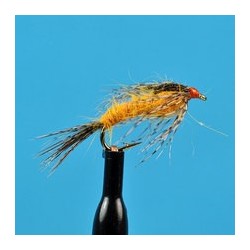 Catskill Canadensis