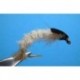 CDC Hydropsyche Larva
