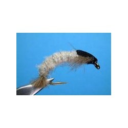 CDC Hydropsyche Larva