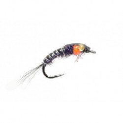 Chimera Black