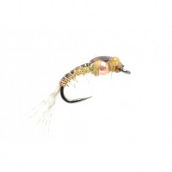 Chimera Callibaetis
