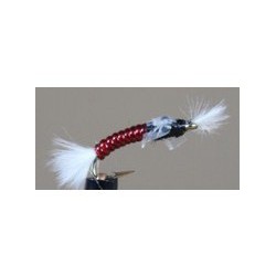 Chironomid Blood Midge