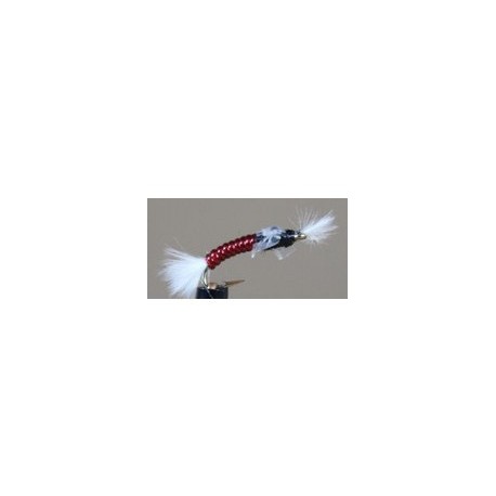 Chironomid Blood Midge