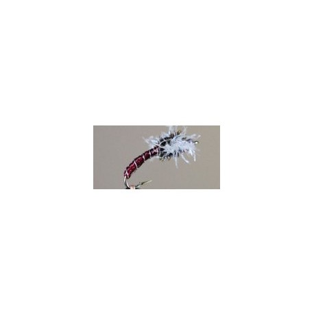 Chironomid Holographic
