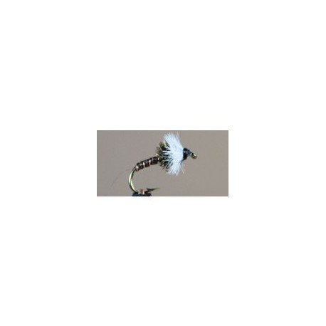 Chironomid Natural