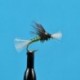 Chironomid Pupa Olive