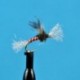Chironomid Pupa Red