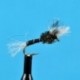 Chironomid Pupa Black