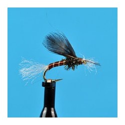 Chironomid Pupa Brown