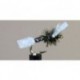 Chironomid Suspender Pupa