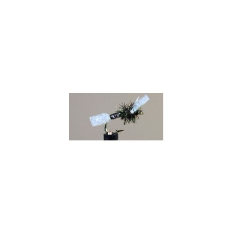 Chironomid Suspender Pupa