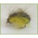 Chompster Yellow