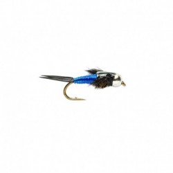 CJ Nymph Blue