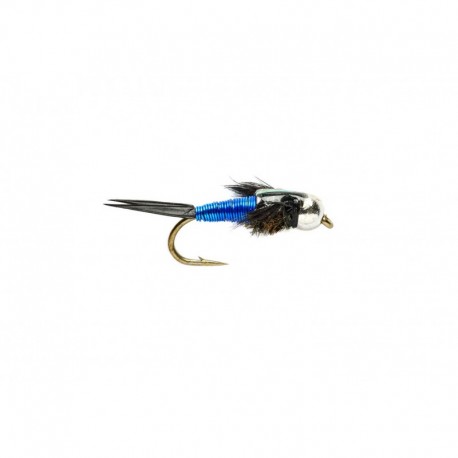 CJ Nymph Blue