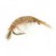 Classic Gammarus Olive