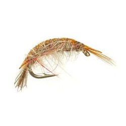 Classic Gammarus Olive