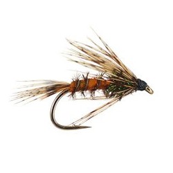 Classic Peacock Nymph