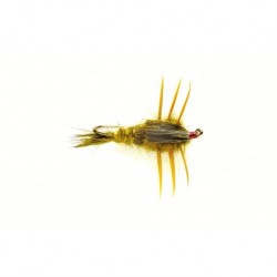 Colonel's Creeper Olive Weighted