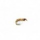 Copper Bug (BH)