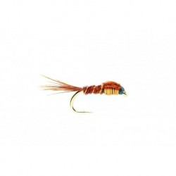 Copper Nymph