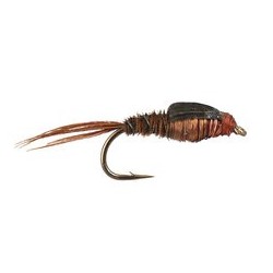 Copper Pheasant Nymph