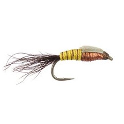 Copper Yellow Nymph