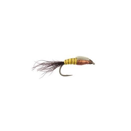 Copper Yellow Nymph