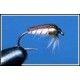 Corixa Depth Charged