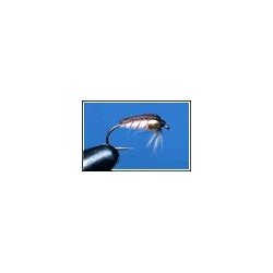 Corixa Depth Charged