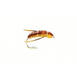 Corixa Air Bubble