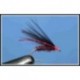 Cormorant Black Claret