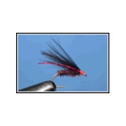 Cormorant Black Claret