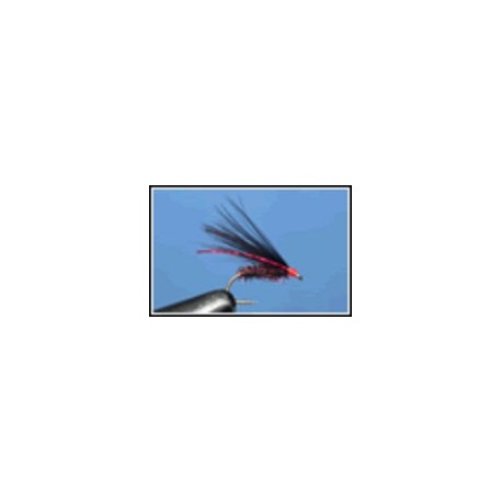 Cormorant Black Claret