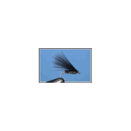 Cormorant Black