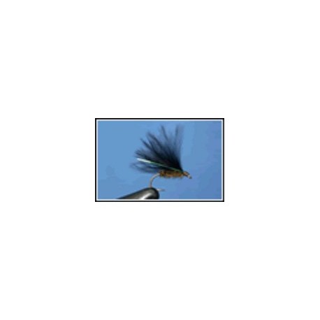 Cormorant Olive Black