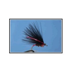 Cormorant Red Cheek