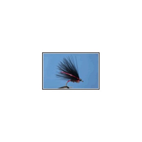 Cormorant Red Cheek