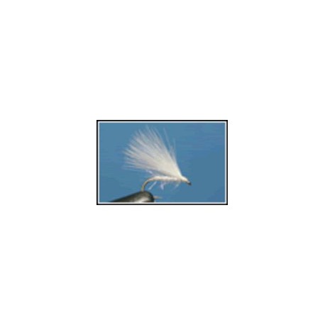 Cormorant White