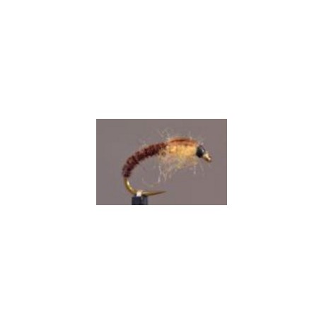 Coves Pheasant tail